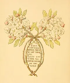 经典花卉装饰by Margaret Armstrong （三） - 小红书