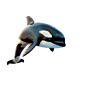 海豚PNG素材
