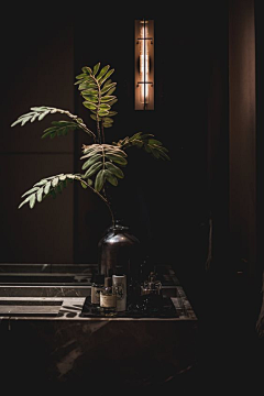 Somnus-zhi采集到Art——卫生间