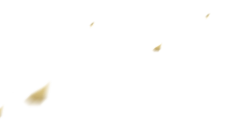 小丧尸采集到自定义
