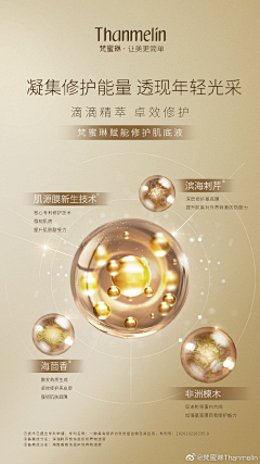 空城一场旧梦采集到宠物洗护