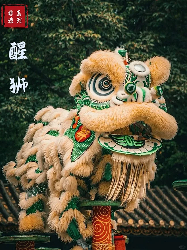 LING动飘逸，解锁醒狮非遗魅力 - 小红书-花瓣网