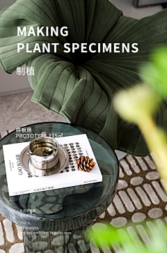 小虫儿呀采集到绿色系
