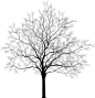 d6848a95c4dbfce2787dbb94a1bbf7764323049132b05-vtpO8Y_fw1200