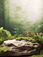  midjourney 生成背景AI摄影 森系场景_6_做设计的豆豆_来自小红书网页版