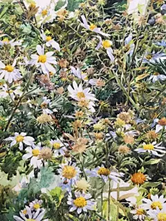 水彩花卉植物 - 高清图片，堆糖，美图壁纸兴趣社区