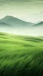 清明节简约肌理扁平草地背景