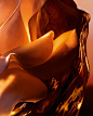 Photo by Lancôme Official on July 01, 2024. May be a closeup of fire.
