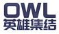 OWL守望先锋联赛战队巡礼-bilibili - 哔哩哔哩弹幕视频网 - ( ゜- ゜)つロ 乾杯~ - bilibili