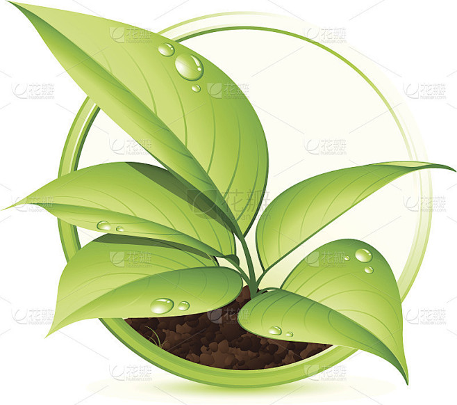 风格化的绿色叶植物在白色的背景绘图