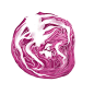 紫甘蓝