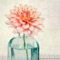 Flower Photography Botanical Print Fine Art by RockyTopPrintShop