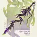 Archaic Arcanist, Mukhlis Nur (Sinlaire) : Swordtember Day 09 - Primordial
Archaic Arcanist

You can read the lore on my Patreon page~
https://www.patreon.com/sinlaire