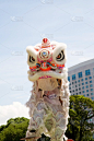 狮子,舞蹈,狮子舞蹈,槟榔屿州,白色,样板间,白昼,春节,垂直画幅,图像