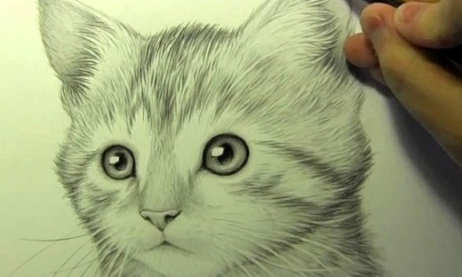 两分钟让你学会如何画小猫_精致的国外短片...