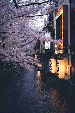 灡风溢彩采集到城市夜景