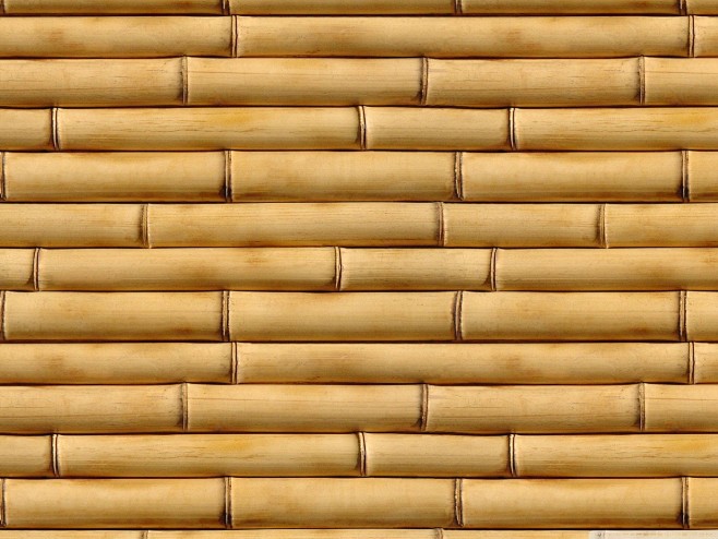 竹子干竹子黄色竹子