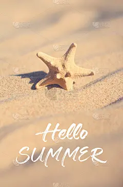 你好,夏天的名片。阳光下沙滩上的海星