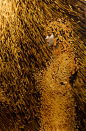 美国画家Brad Kunkle艺术作品 - 当代艺术 - CNU视觉联盟