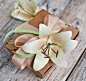 DIY Paper Lily Gift Decor