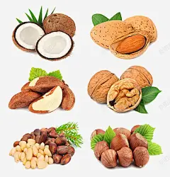 核桃夏威夷果腰果 葡萄干 蓝莓干 送礼 零食 食物 元素 免抠png 设计图片 免费下载 页面网页 平面电商 创意素材