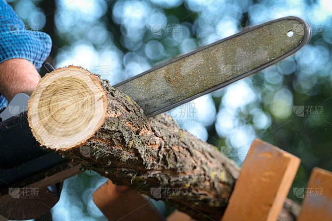 一个人用链锯砍树素材-花瓣网