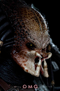 OMG美图：Hottoys-元祖铁血战士/Classic Predator-多图杀猫-P5视频P6新旧两款对比兵人在线 - Powered by Discuz!