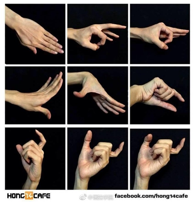【分享一组关于手部各种姿势的素材】
  ...