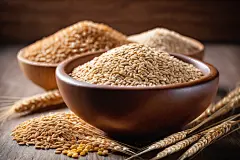 大麦谷类杂粮粗粮摄影图图片