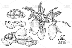 六小鹿采集到插画-其他