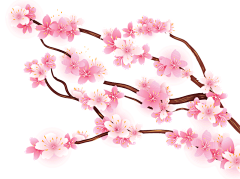 T-Melody浅瞳°采集到花朵绿叶素材