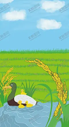 鸭田村 【酷图网】鸭,水稻,风景,河边,插画