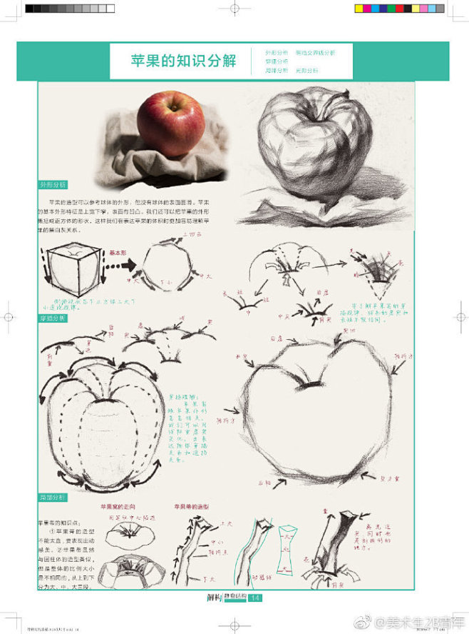 素描静物单个塑造解析 ​​​​