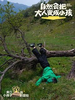 HpJcgrJN采集到排版