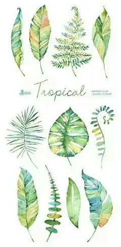 #阳光水彩##手绘天地# 教你用水彩颜料画一... 来自唐亮钢笔画 - 微博