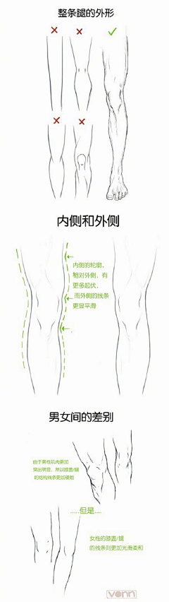 劝君更尽鹤顶红采集到动漫学习基础