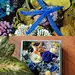 呼吸的星球 永生花 ”七月的海洋“ 生日礼物-淘宝网