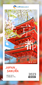 日本 樱花季 风景 海报