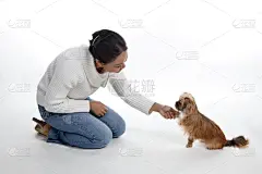 纯种犬,混血儿,业主,北京犬,约克郡犬,跪着,真实的人,背景分离,东亚人,狗