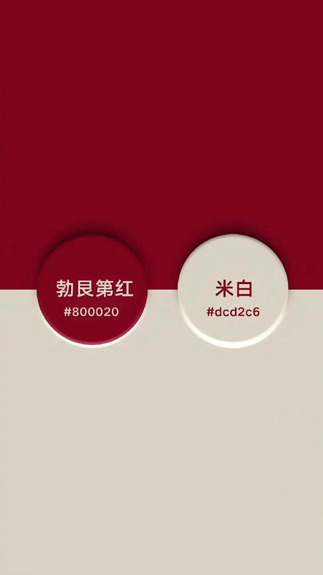 一组高级感撞色参考 ​​​​