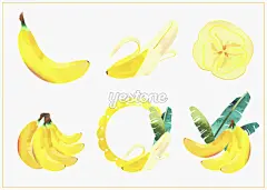 韩国插画_插画_美食_食品_水果_蔬菜_Yestone邑石网_高品质的版权图片及商业正版图片素材提供商