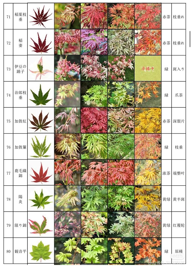 来自分享
