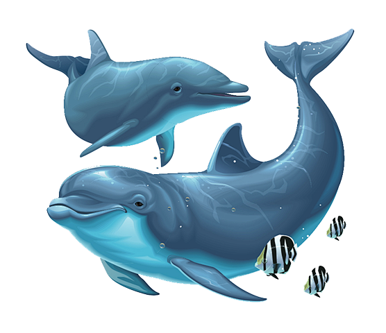 海豚PNG