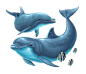海豚PNG