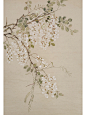 槐花飘香（附步骤图）