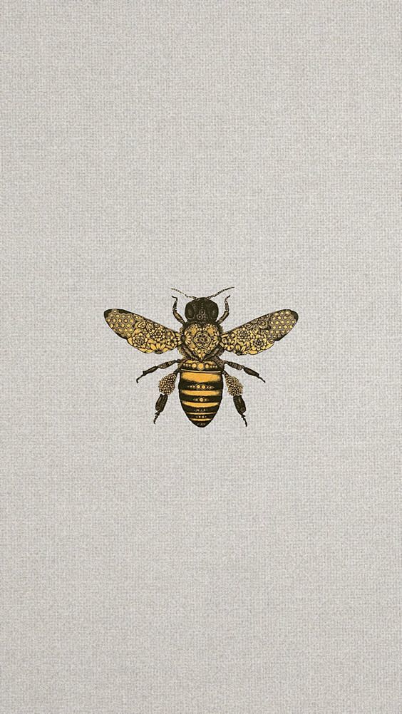 ^ Bee-花瓣网