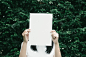 Free stock photo of blank, female, hands