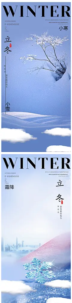 小雪大雪小寒大寒医美节气海报