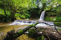 自然 桌面背景 水域 花卉背景 流动 木头 叶子 高清壁纸 树
