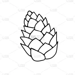 矢量松果涂鸦风格。手绘轮廓插图，剪贴画，设计元素隔离